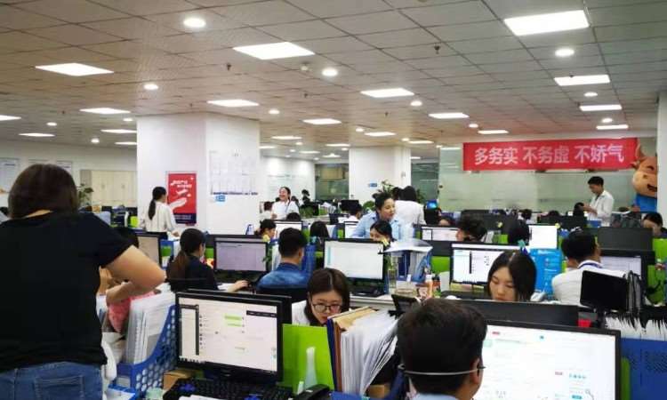 重庆憨牛教育信息咨询 助力学子实现梦想的专业导航